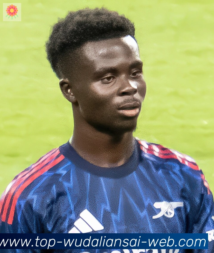 维尼修斯